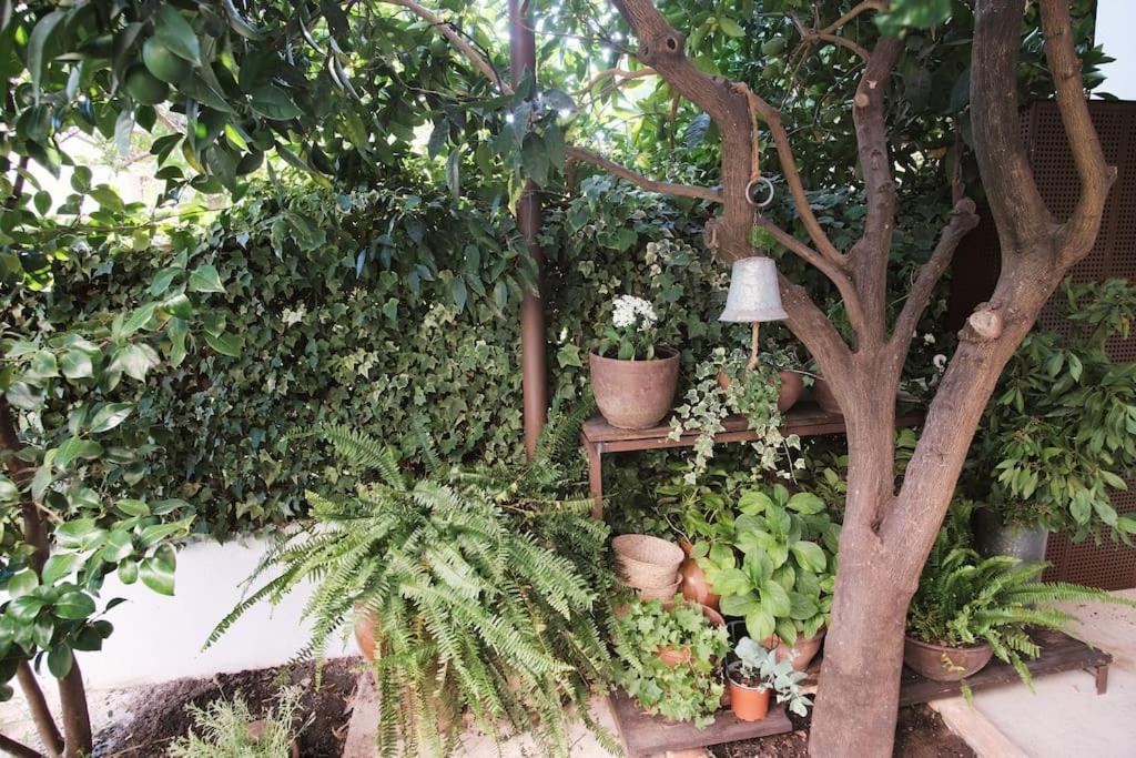 Vila La Casa Del Jardin Candeleda Exteriér fotografie